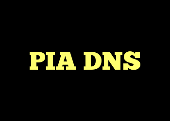PIA DNS