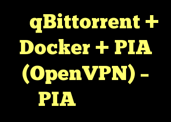 با qBittorrent + Docker + PIA (OpenVPN) – PIA مشکل دارید