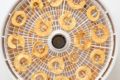 The Best Food Dehydrator